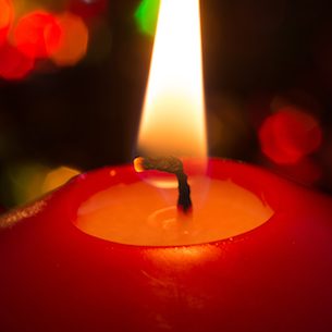 Photo de Monsieur Joël PLISSON